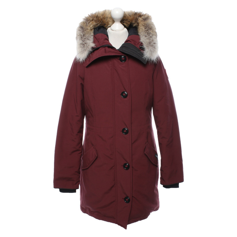 bordeaux canada goose