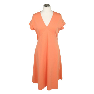 Drykorn Kleid aus Baumwolle in Orange