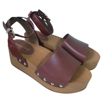 Sam Edelman Sandals Leather in Brown