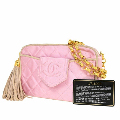Chanel Camera Bag in Fuchsia