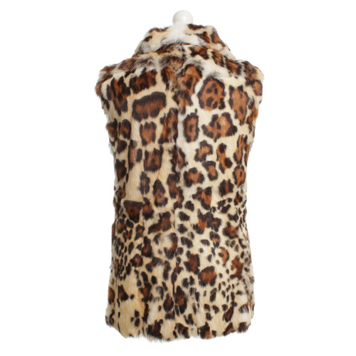 BLUMARINE Dames Bont vest in tijgerprint in Maat: DE 36