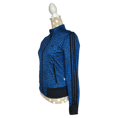 Adidas Giacca/Cappotto in Blu