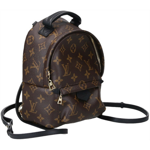 LOUIS VUITTON Women's Airplane Bag aus Canvas in Braun