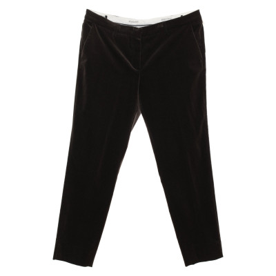 Seductive Trousers Cotton in Brown