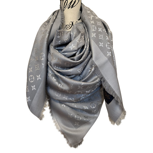 ≥ Vind louis vuitton sjaal in Kleding