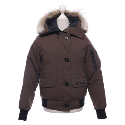 Canada Goose Jacket/Coat in Brown