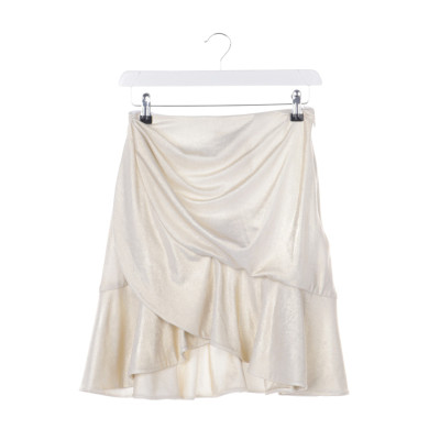 Balmain Skirt in Silvery