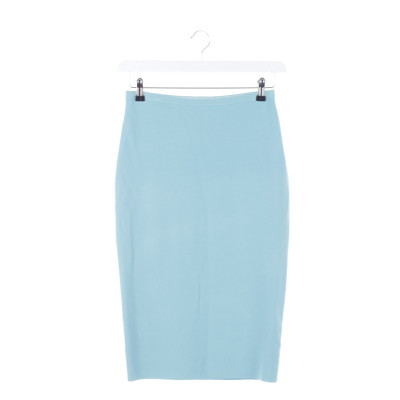 Diane Von Furstenberg Skirt Viscose in Blue