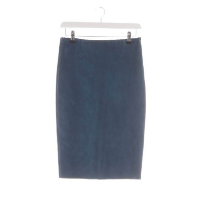 Stouls Skirt Leather in Blue