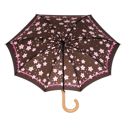 LOUIS VUITTON Damen Regenschirm | Second Hand