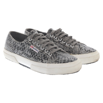 Superga Trainers in Grey