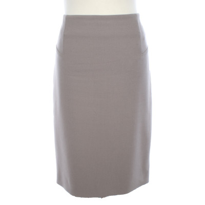 Cappellini Skirt in Grey