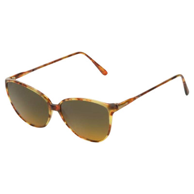 Persol Sunglasses in Brown