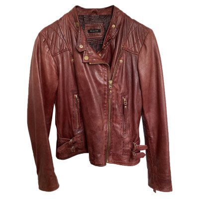 Massimo Dutti Jacket/Coat Leather in Bordeaux