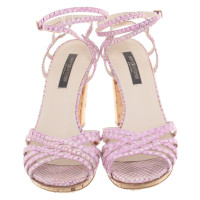 Sergio Rossi Sandals in Pink