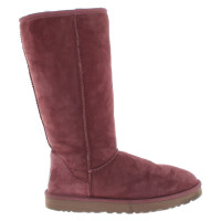 Ugg Boots in Fuchsia