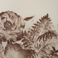 Bcbg Max Azria Top mit Blumen-Print 