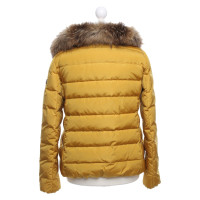 Peuterey Jacket/Coat in Yellow