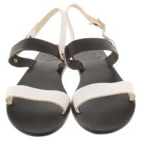 Ancient Greek Sandals Sandales en noir et blanc