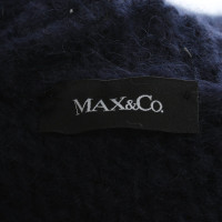 Max & Co Breiwerk in Blauw
