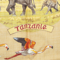 Hermès Tissu "Tanzanie"