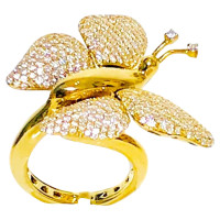 Crivelli  Ring aus Gelbgold in Gold