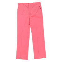 Gucci Hose in Rosa / Pink