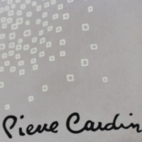 Pierre Cardin For Paul & Joe Schal/Tuch aus Seide in Grau
