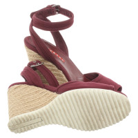 Prada Wedges in Bordeaux