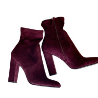 Steve Madden Stiefeletten in Bordeaux