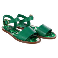 Dolce & Gabbana Sandalen aus Leder in Grün