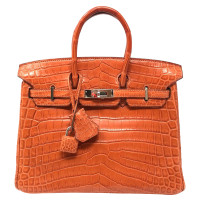 Hermès Birkin Bag 25 in Oranje