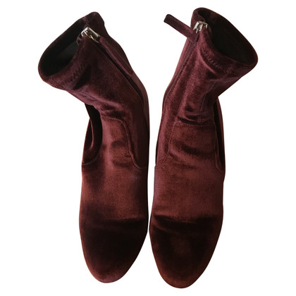 Steve Madden Ankle boots in Bordeaux