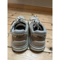 Ash Trainers