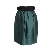 Alberta Ferretti Skirt Silk in Green