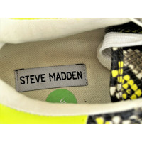 Steve Madden Sneakers in Groen