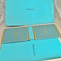 Tiffany & Co. Accessoire en Bleu