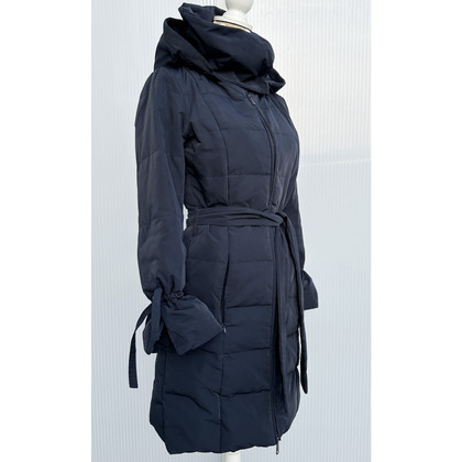 Max & Co Jacket/Coat in Blue