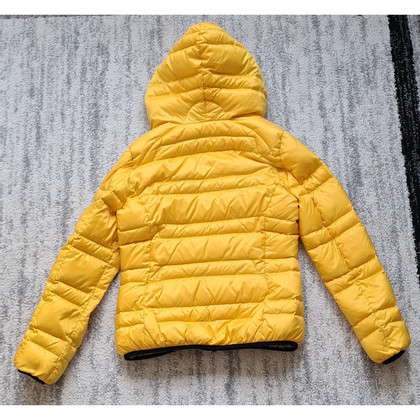 Blauer Usa Jacket/Coat in Yellow