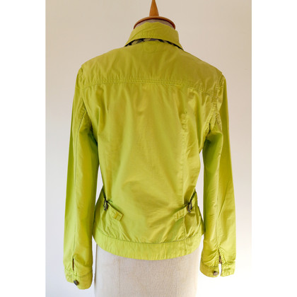 Burberry Jacket/Coat Cotton in Yellow
