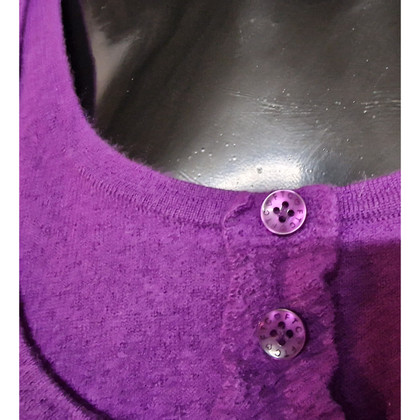 Ftc Knitwear Cashmere in Violet