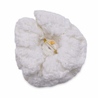 Chanel Brooch Canvas in White