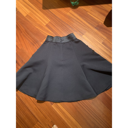 Max Mara Skirt in Blue