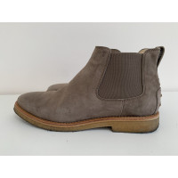 Tod's Ankle boots Suede in Taupe