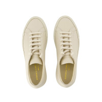 Common Projects Sneakers aus Leder in Beige