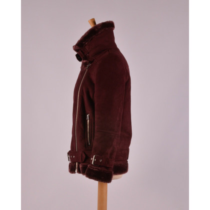 Topshop Jacket/Coat in Bordeaux