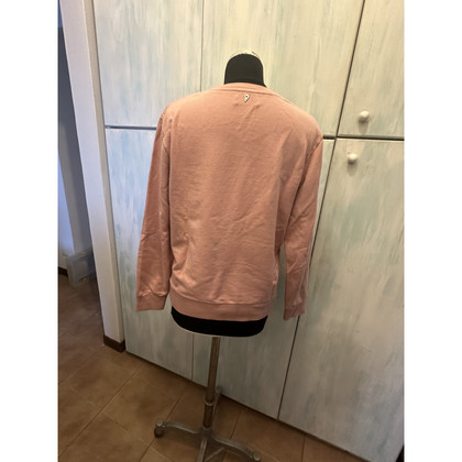 Dondup Top Cotton in Pink