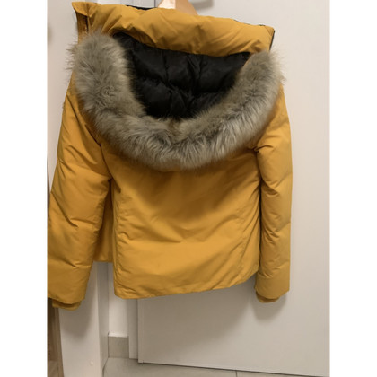 Tommy Hilfiger Giacca/Cappotto in Giallo
