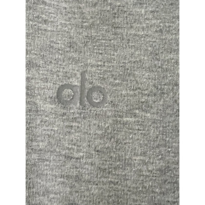 Alo Yoga Trousers Cotton in Grey