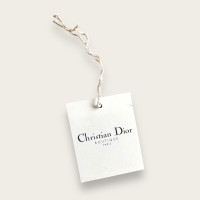 Christian Dior Accessori in Acciaio in Argenteo